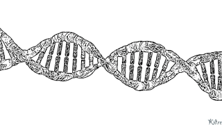 科学 印刷可能なぬりえ